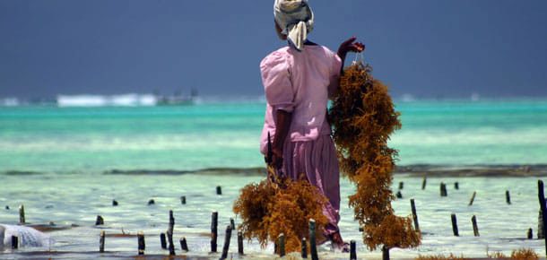 🏝️ Zanzibar od 2228 zł, wyloty z 5 miast
